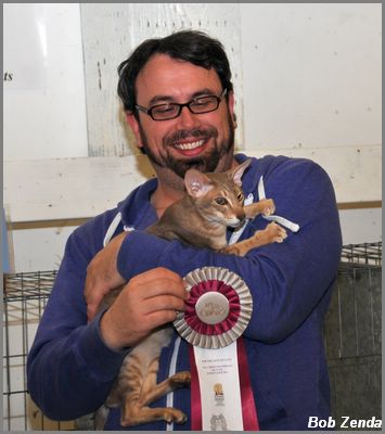 Casadecano's Lavender Sunshine - Best Vet